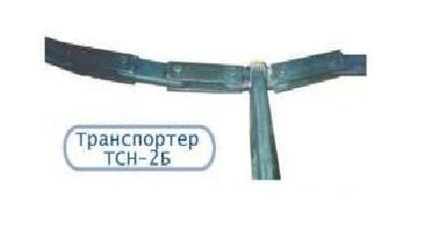 tsn2b